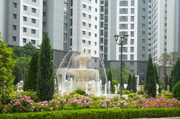 639963_247697_3013.jpg